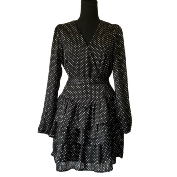 NWOT Francesca Mi Ami V-Neck Polka Dot Long Sleeve Dress Medium - Picture 1 of 11